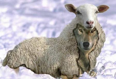 sba7 mkhaba3 f na3jaaaaaaaaaaaaaaaaaaaaaaa